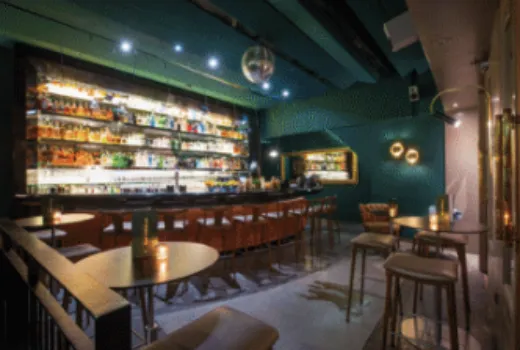 Descripción de la imagen